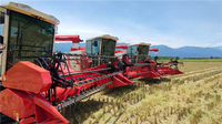 Herramientas agrícolas, macetero, MEK300-4