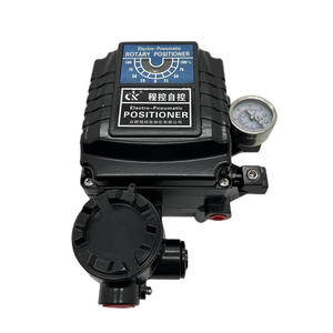 Válvulas de Control Automatizadas Programables YT-1000RDd-ckYT-RDnF-ckYT-1000Lsd-ckYT-1000LSNF-CK - Product Image 3