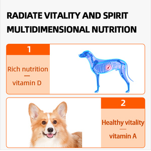 Les suppléments vitaminiques pour chiens et chats soutiennent le système immunitaire Supplément de soutien pour la santé des animaux de compagnie Comprimés à croquer - Product Image 3