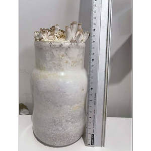 Bouteilles de culture de champignons PP de haute qualité 850ml 1100ml 1200ml 1400ml pour la culture d'huîtres King et de champignons enoki - Product Image 4