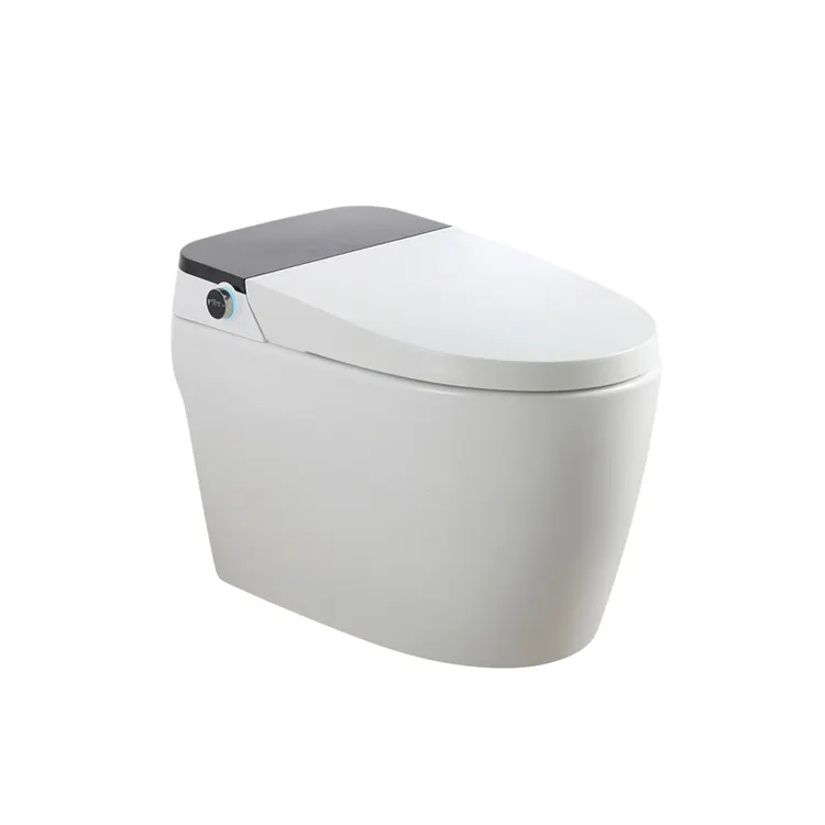 Medyag Elongated Automatic One Piece Smart Toilet Floor Mounted Siphon Intelligent Smart Home Bidet Toilet