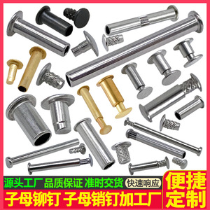 Rivets filetés Tianyang Hardware 2.0-6.5mm en acier inoxydable à double capuchon pour vêtements, durables - Product Image 4