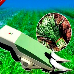 Mini Raccoglitrice Elettrica Semovente per Porri con Posizionamento Uniforme dei Residui e Ampia Copertura di Area - Product Image 3