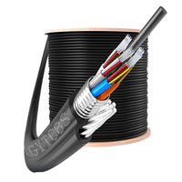 FiberPlan prix d'usine FTTX FTTR antenne autoportante extérieure GYTC8S GYFTC8S GYTC8A câble à fibre optique FTTX