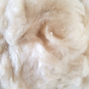 Fibra de Kapok Natural Cruda Blanca de Java, Material de Relleno de 100 mm de Longitud, para Almohadas, Juguetes y Colchones, Fardo de 100 kg - Product Image 2
