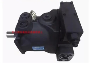 Pompa a pistoni YEOSHE AR16FR01CK10Y BKY 22Y Y - Product Image 3