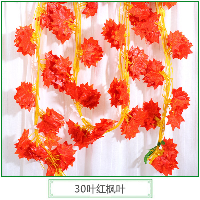 30 feuilles d'érable rouge