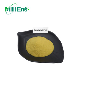 Food Grade Factory Price Supplements New Arrival Best Quality Green Cardamom Powder Natural Cardamom Seeds Extract