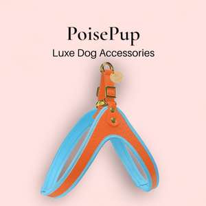 High End Quality <b>Dog</b> <b>Harness</b> Handmade with Genuine <b>Leather</b> and Easy Release Buckle - Orange| Blue - Product Image 1