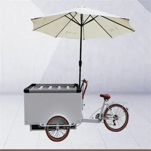 Customize Electric Salad Fruit Vending Tricycle Food Carts 3 Wheels Adult Cargo Bicycles Food Truck for Sale