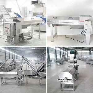 Машина для отделения мякоти и семян граната Aril Breaking Passion (сепаратор гранатовых косточек) - Product Image 2