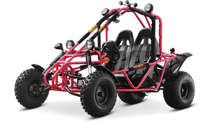 Buggy EU 200C 200cc/150cc à transmission par chaîne et frein à disque - Product Image 2