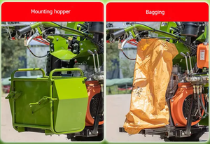 <span class=keywords><strong>Mini</strong></span> cosechadora de maíz dulce de una sola fila para caminar detrás de la pequeña máquina cosechadora de maíz - Product Image 6