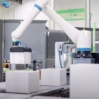 Robot collaboratif intelligent et automatique pour la palettisation, construction en acier inoxydable pour la palettisation de boîtes en carton, cobot palettiseur