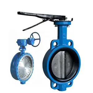 Chinese Flange Dn65 Electric 10 Inch Electric Dn250 Double Flange Electric Gear Grey Cast Iron Butterfly Valve