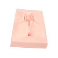 Modèles d'éducation médicale Science Vulva Suture Training Simulator Modèle d'exercice de suture génitale externe