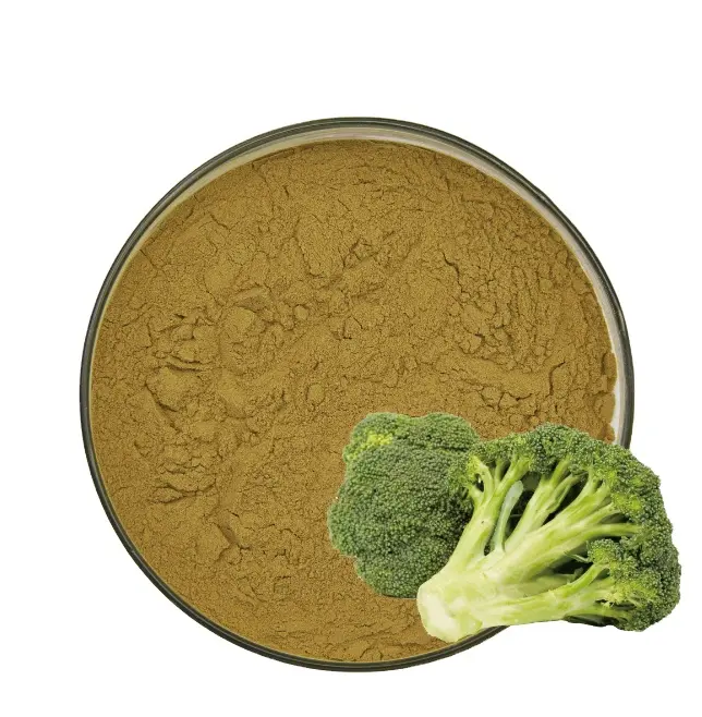 Gıda sınıfı sıcak satış saf doğal brokoli filiz özü tozu ihracat için