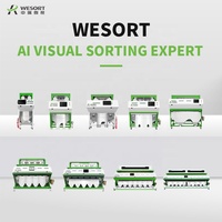 Voor Wesorteermachine Voor Volwassen Voedselverwerking Voor Rauwe Koffie-Fruit Voor Het Sorteren Van Fruit