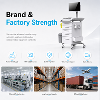 Chariot médical informatique ST ZNH001 avec grand plateau de travail, bacs à accessoires latéraux et tiroirs – Vente directe usine