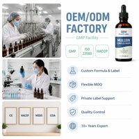Complément Quotidien Liquide Oral Naturel Végétalien à Base de Plantes pour le Soutien Respiratoire (Mullein, Échinacée) 60ml – Fabrication GMP, OEM, ODM, Marque Privée