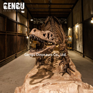 Chất Lượng cao Handmade Mamont Skeleton Động Vật Mô Hình Bộ Xương - Product Image 5