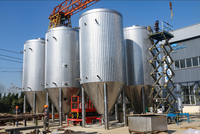 Réservoir de fermentation de bière artisanale Tonsen 20000 L 200HL 20T en acier inoxydable avec contrôle de la température de refroidissement