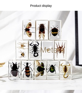 100 Khác Nhau Nhựa Thủ Công Bọ Cánh Cứng Spider Scorpion Động Vật Trang Trí Paperweights Cho Trẻ Em Của Giáng Sinh Nghiên Cứu & Học Tập - Product Image 6