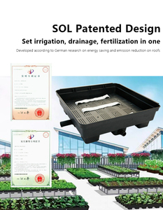 سقف الصواني وحدات صندوق لغرس المزروعات على السطح سول البلاستيك المعيشة الخضراء تستخدم مع زهرة/النباتات الخضراء مربع سقف الديكور الأسود الكلمة - Product Image 4