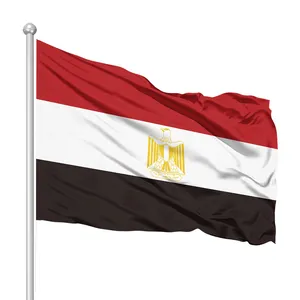 Оптовая продажа с завода, двухсторонний утолщенный водонепроницаемый домашний иностранный флаг 75D, производство египетского флага