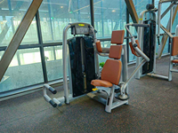 Machine professionnelle de musculation pectorale SK Butterfly Pec Deck à charge par poulie pour salle de sport et club de fitness