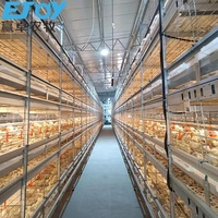 Équipement d'élevage automatique moderne pour poulets de chair Cage à poulets de chair de volaille de type H Batterie pour poulets de chair
