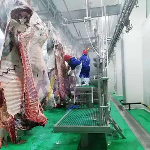 Línea de matadero de ganado Halal y equipo de procesamiento de carne