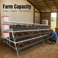 Cage à poules à 5 portes à 3 niveaux, galvanisée à froid, type A, 120 poules, cages multifonctionnelles pour animaux pour l'élevage de poules pondeuses