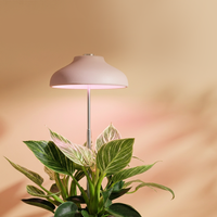 Lampe LED à brancher pour plantes d'intérieur, abat-jour rose en paille écologique, 5W USB, spectre complet 4000K, minuterie automatique