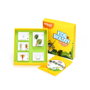 Gelsonlab HSKS-1719 Piccolo granchi e granchi eremita in riva al mare Incorporato biologico campioni Insegnamento incorporato campioni - Product Image 3