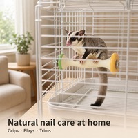 Perchoir de luxe moderne en céramique en forme de noyau de pomme pour sugar glider, écureuil, oiseau, sans perte de sable, pour l'entretien des griffes en cage