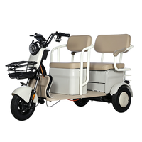 AFTFA Era Modern OEM ODM Pabrik Lintas Negara Menyediakan Kendaraan Roda Tiga Penumpang Listrik 3 Motor Brushless Baja Baterai Asam Timbal