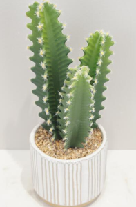 Artificiale piccolo <span class=keywords><strong>cactus</strong></span> in vaso con Diverse forme di arredamento realistico per l'home Office soggiorno arredamento Desktop - Product Image 3