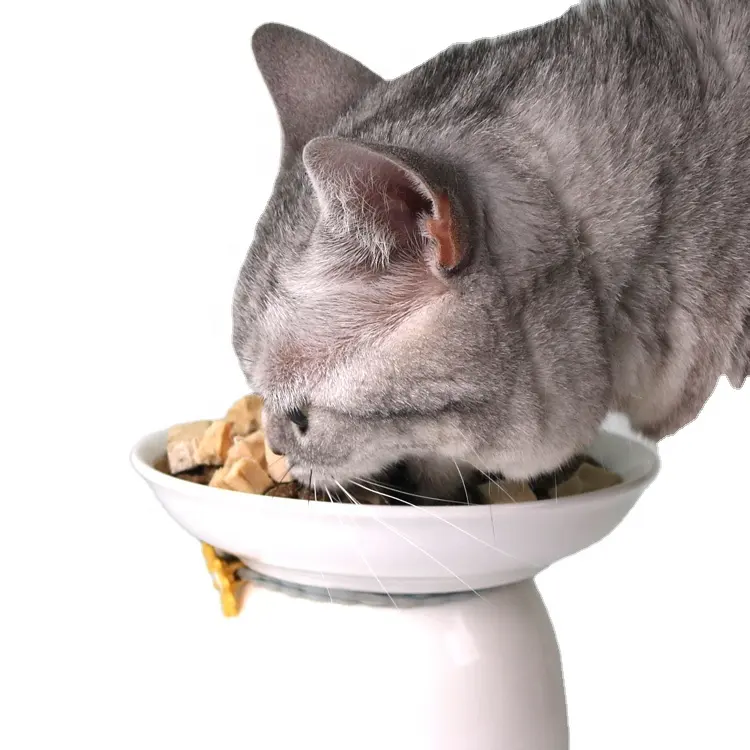 OEM liofilizzato pollo cibo per gatti per gattini adulti di alta qualità liofilizzato cibo per gattini