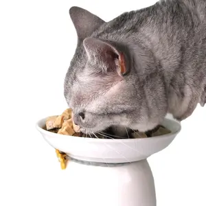 OEM dondurularak kurutulmuş tavuk kedi maması yetişkin yavru kedi için yüksek kaliteli dondurularak kurutulmuş yavru gıda