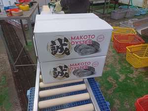หอยเชลล์แช่แข็งครึ่งหนึ่งสไตล์ญี่ปุ่น - Product Image 5
