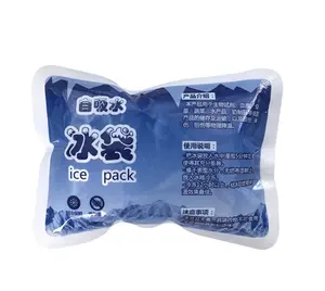 Super Absorb water ice pack dry Ice packs cooler box ice pack for food delivery