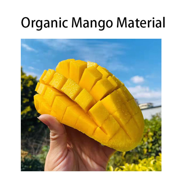 Factory Price Best Quality Plant Extract  Mango Fruit Powder
