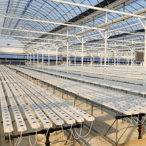 L'agriculture sous serre révolutionne l'agriculture hydroponique PVC NFT systèmes de ravins pour la laitue - Product Image 6