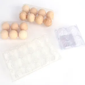 All'ingrosso Logo personalizzato di alta qualità plastica fresca Blister imballaggio trasparente vassoio di pollo uovo contenitore scatole a conchiglia