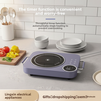 Cuisinière à induction carrée intégrée, plaque chauffante à induction pour fondue, pour usage domestique ou pour restaurants de fondue et de barbecue
