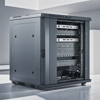 Gabinete de Red para Exteriores OEM, Racks de Servidor de 4U-15U, Montaje en Pared, Capacidad de 12U, Puerta Frontal de Vidrio, Color Negro, Fácil Instalación para CCTV y Datos