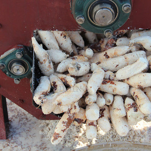 Máquina a máquina Le Manioc Fabriquée Localement Au <span class=keywords><strong>Nig</strong></span>éria Pour Le Traitement Du Manioc - Product Image 6