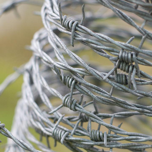 Malla de Alambre de Púas Galvanizado por Inmersión en Caliente de Alta Seguridad para Cárceles/Aeropuertos/Granjas - Product Image 3