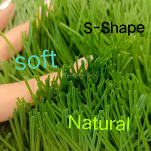 איכות גבוהה 50mm לסביבה ידידותית pp דשא סינטטי מקורה/חיצוני שדה ספורט בחצר האחורית לשים דשא מלאכותי - Product Image 5